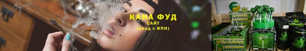 прущие крисы Гусев