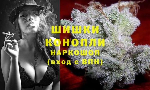 гашик Гусиноозёрск