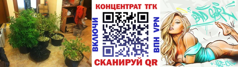 ТГК концентрат  Купить  Новоалександровск 