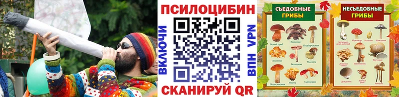 Купить где  Новоалександровск  Галлюциногенные грибы Psilocybine cubensis 